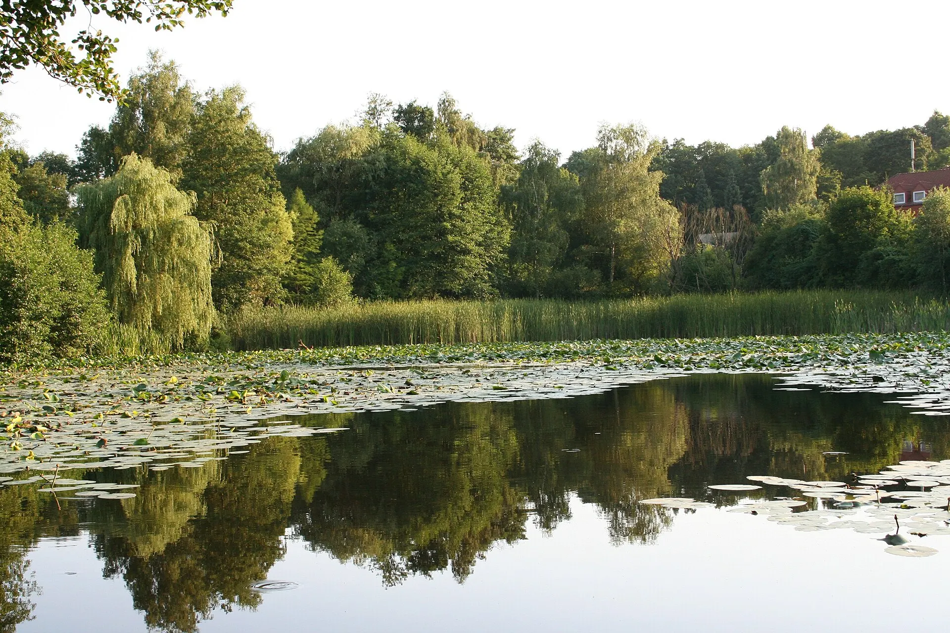 Der Quellenhofteich im Kurpark von Bad Helmstedt mit Wasser und Grünanlagen
