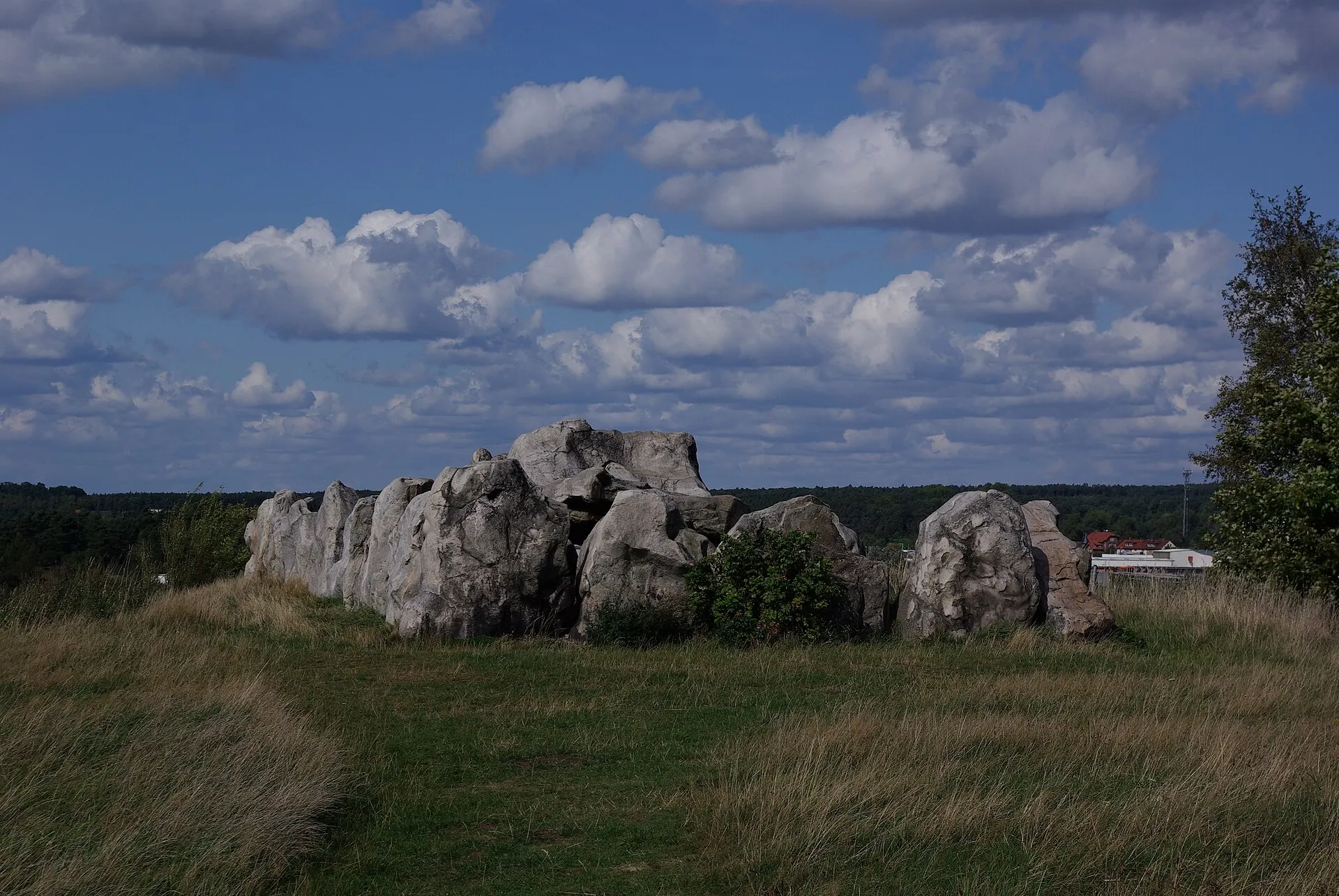 Die Lübbensteine, ein steinzeitliches Großsteingrab westlich von Helmstedt, bei Tageslicht